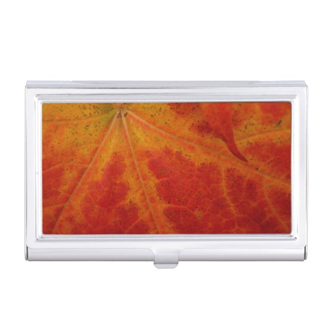Red Maple Leaf Abstract Autumn Nature Photography Business Card Holder (Front)