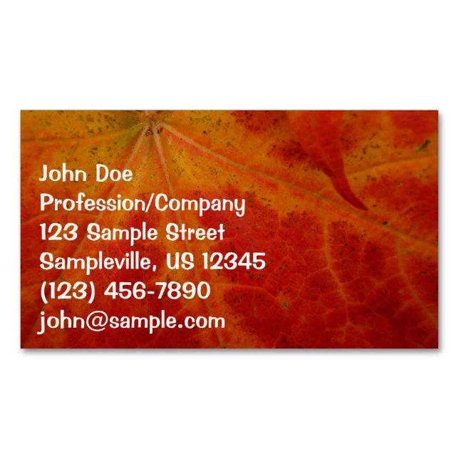Red Maple Leaf Abstract Autumn Nature Photography Business Card Magnet (Front)