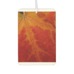 Red Maple Leaf Abstract Autumn Nature Photography Car Air Freshener