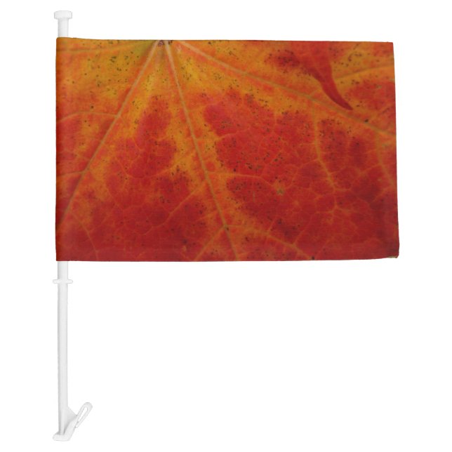 Red Maple Leaf Abstract Autumn Nature Photography Car Flag (Front)