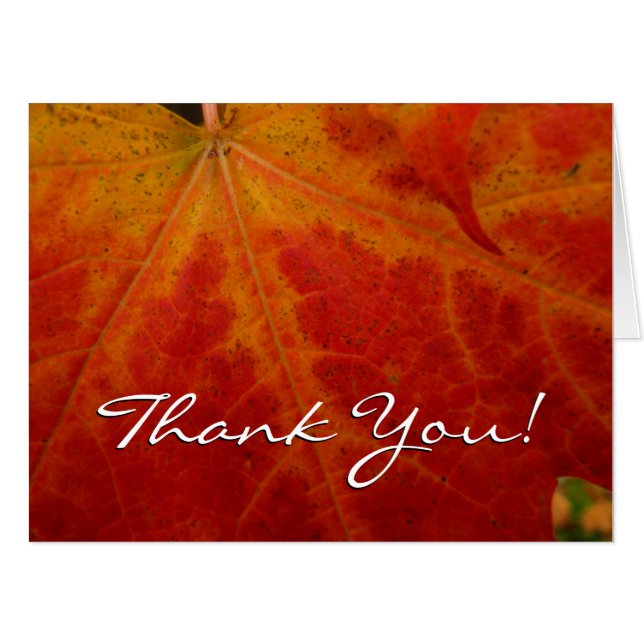 Red Maple Leaf Abstract Autumn Nature Photography Card (Front Horizontal)