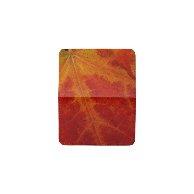 Red Maple Leaf Abstract Autumn Nature Photography Card Holder (Outside Horizontal)