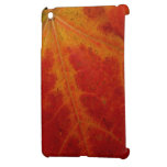 Red Maple Leaf Abstract Autumn Nature Photography Case For The iPad Mini