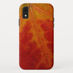 Red Maple Leaf Abstract Autumn Nature Photography iPhone XR Case