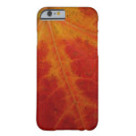 Red Maple Leaf Abstract Autumn Nature Photography Barely There iPhone 6 Case