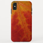 Red Maple Leaf Abstract Autumn Nature Photography iPhone XS Max Case