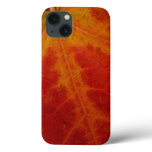 Red Maple Leaf Abstract Autumn Nature Photography iPhone 13 Case