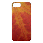 Red Maple Leaf Abstract Autumn Nature Photography iPhone 8/7 Case