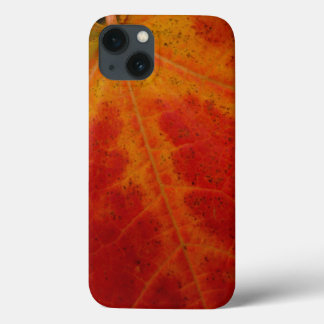 Red Maple Leaf Abstract Autumn Nature Photography iPhone 13 Case