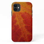 Red Maple Leaf Abstract Autumn Nature Photography iPhone 11 Case