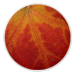Red Maple Leaf Abstract Autumn Nature Photography Ceramic Knob