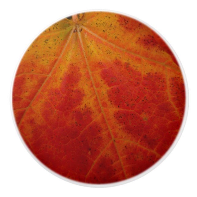 Red Maple Leaf Abstract Autumn Nature Photography Ceramic Knob (Front)