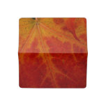 Red Maple Leaf Abstract Autumn Nature Photography Checkbook Cover