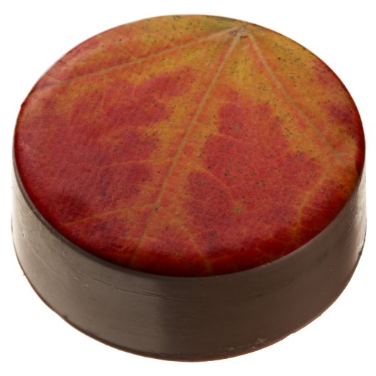 Red Maple Leaf Abstract Autumn Nature Photography Chocolate Covered Oreo (Angled)
