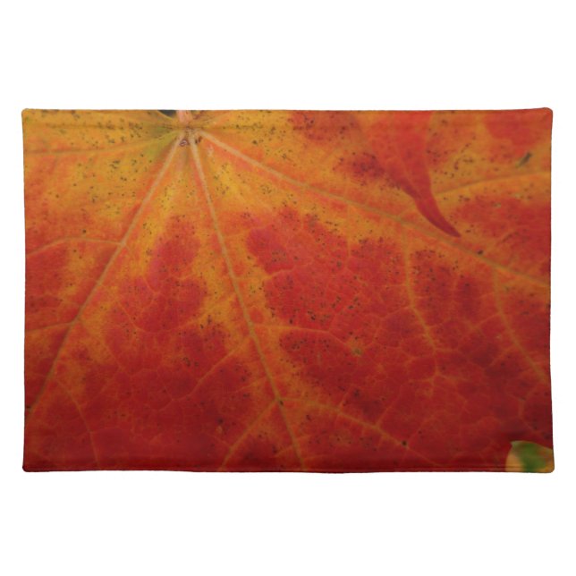 Red Maple Leaf Abstract Autumn Nature Photography Cloth Placemat (Front)