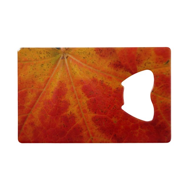 Red Maple Leaf Abstract Autumn Nature Photography Credit Card Bottle Opener (Back Horizontal)