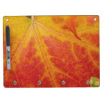 Red Maple Leaf Abstract Autumn Nature Photography Dry Erase Board With Keychain Holder