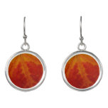 Red Maple Leaf Abstract Autumn Nature Photography Earrings