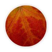Red Maple Leaf Abstract Autumn Nature Photography Edible Frosting Rounds (Front)