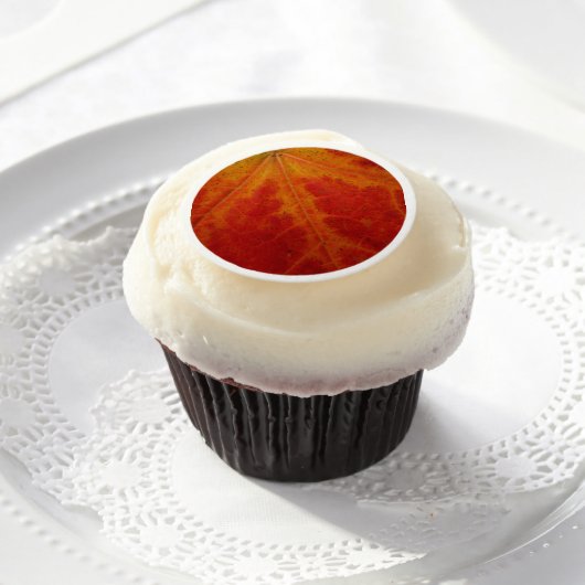 Red Maple Leaf Abstract Autumn Nature Photography Edible Frosting Rounds (Cupcake)