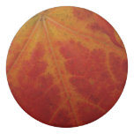Red Maple Leaf Abstract Autumn Nature Photography Eraser