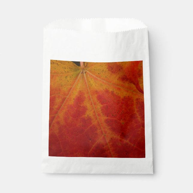 Red Maple Leaf Abstract Autumn Nature Photography Favor Bag (Front)
