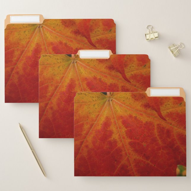 Red Maple Leaf Abstract Autumn Nature Photography File Folder (Set)