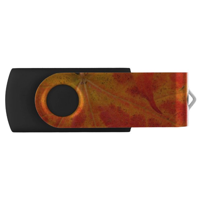 Red Maple Leaf Abstract Autumn Nature Photography Flash Drive (Front)