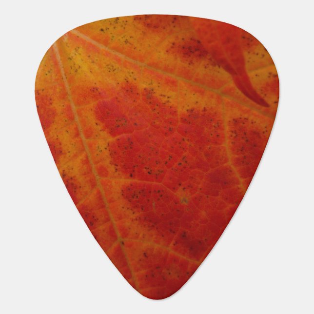 Red Maple Leaf Abstract Autumn Nature Photography Guitar Pick (Front)
