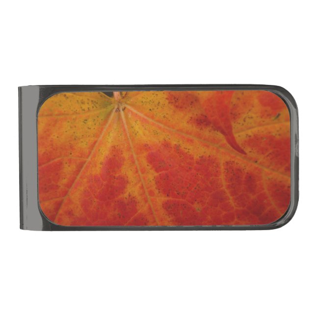 Red Maple Leaf Abstract Autumn Nature Photography Gunmetal Finish Money Clip (Front)