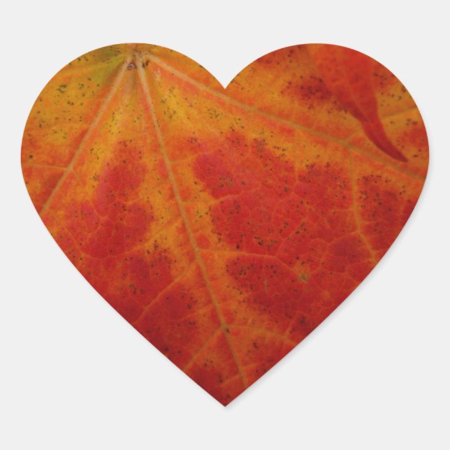 Red Maple Leaf Abstract Autumn Nature Photography Heart Sticker (Front)