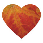 Red Maple Leaf Abstract Autumn Nature Photography Heart Sticker
