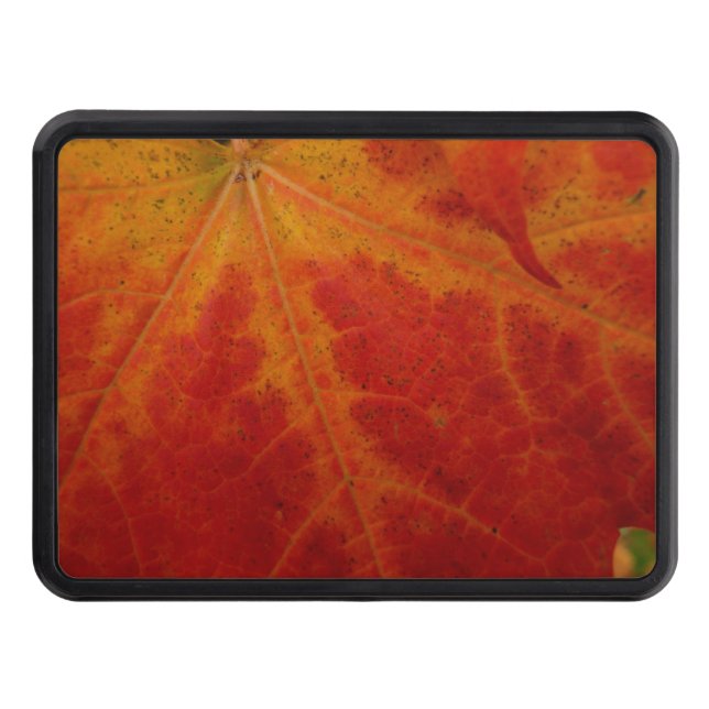Red Maple Leaf Abstract Autumn Nature Photography Hitch Cover (Front)