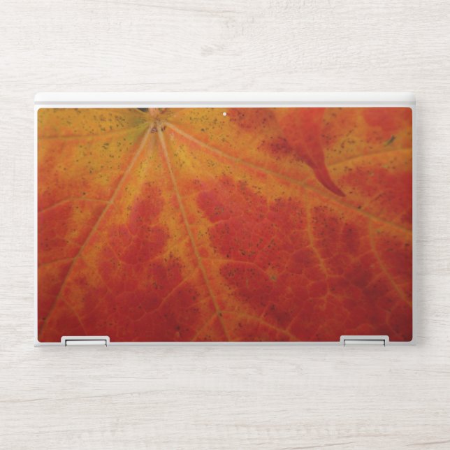 Red Maple Leaf Abstract Autumn Nature Photography HP Laptop Skin (Front)