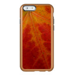 Red Maple Leaf Abstract Autumn Nature Photography Incipio Feather Shine iPhone 6 Case