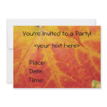 Red Maple Leaf Abstract Autumn Nature Photography Invitation