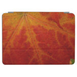 Red Maple Leaf Abstract Autumn Nature Photography iPad Air Cover