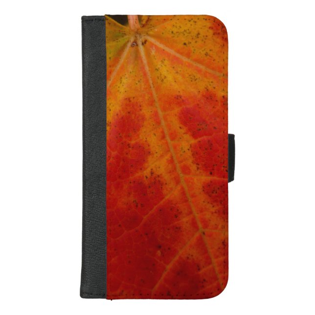 Red Maple Leaf Abstract Autumn Nature Photography iPhone Wallet Case (Front)