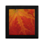 Red Maple Leaf Abstract Autumn Nature Photography Jewelry Box