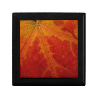 Red Maple Leaf Abstract Autumn Nature Photography Jewelry Box