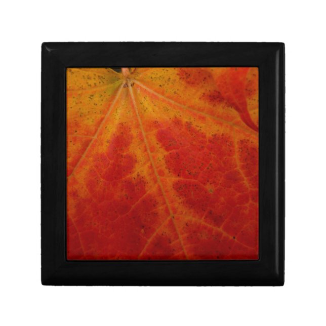 Red Maple Leaf Abstract Autumn Nature Photography Jewelry Box (Front)