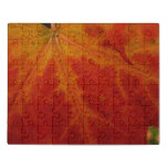 Red Maple Leaf Abstract Autumn Nature Photography Jigsaw Puzzle