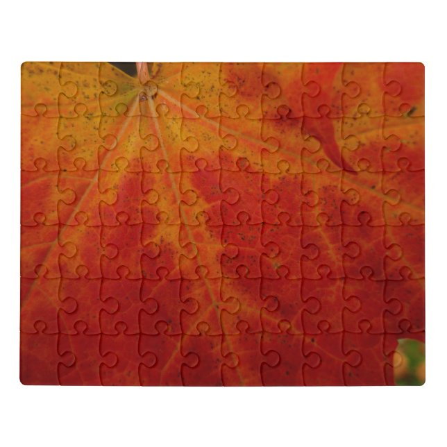 Red Maple Leaf Abstract Autumn Nature Photography Jigsaw Puzzle (Puzzle Horizontal)