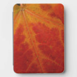 Red Maple Leaf Abstract Autumn Nature Photography Kindle Cover