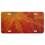 Red Maple Leaf Abstract Autumn Nature Photography License Plate