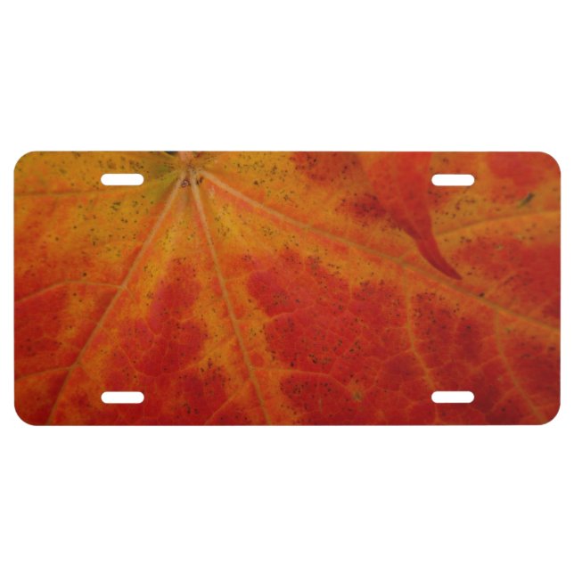 Red Maple Leaf Abstract Autumn Nature Photography License Plate (Front)