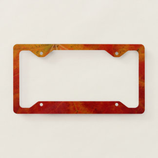 Red Maple Leaf Abstract Autumn Nature Photography License Plate Frame