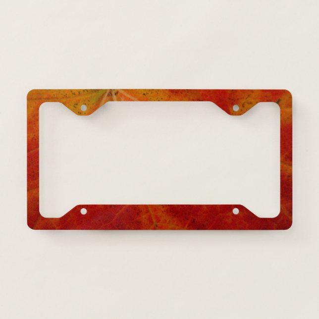 Red Maple Leaf Abstract Autumn Nature Photography License Plate Frame (Front)