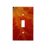 Red Maple Leaf Abstract Autumn Nature Photography Light Switch Cover