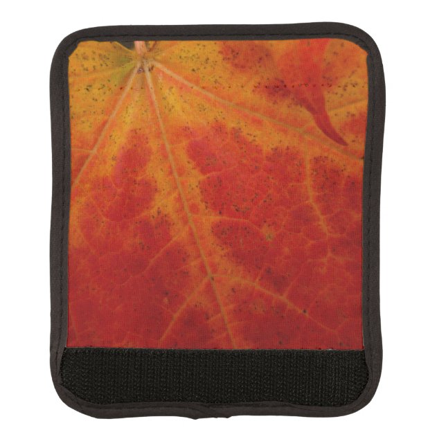Red Maple Leaf Abstract Autumn Nature Photography Luggage Handle Wrap (Front)